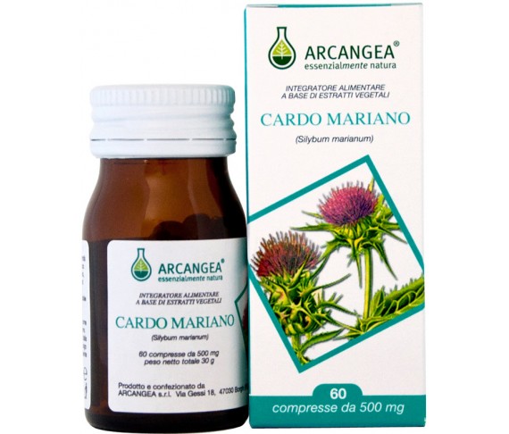 Cardo Mariano (silybum marianum)